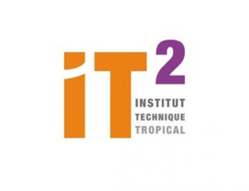 BIENVENUE À NOTRE NOUVEAU CLIENT : IT2